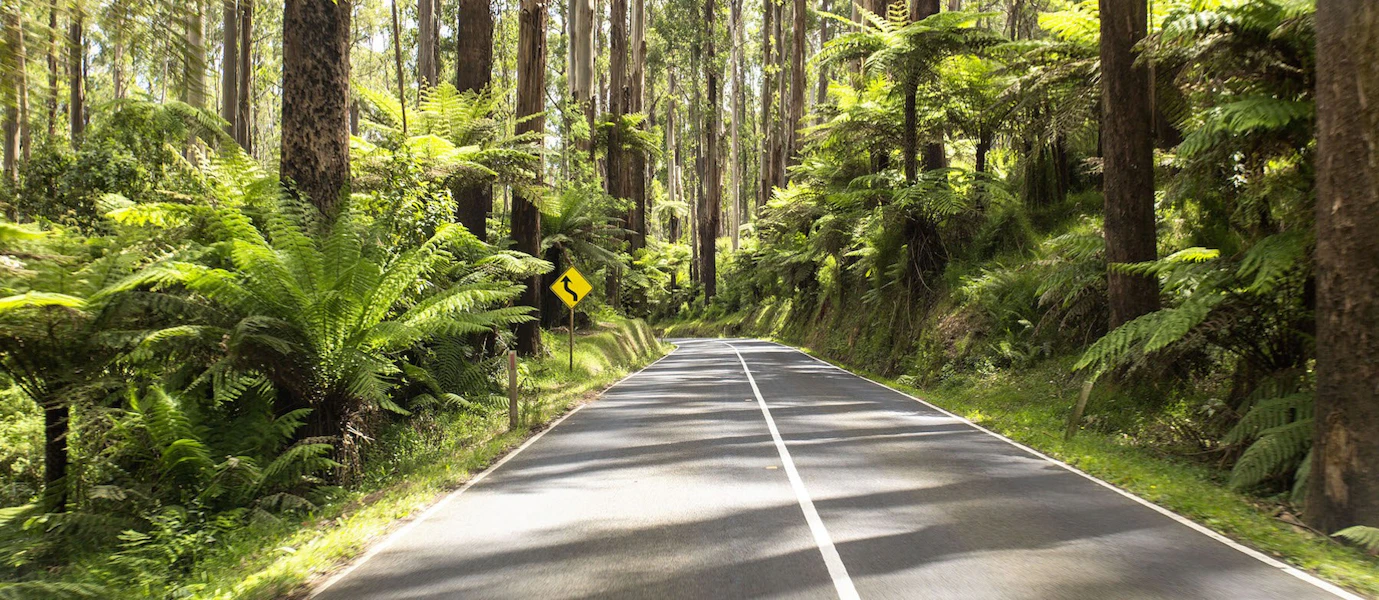 Copy of vibe marysville blackspur 35 2014
